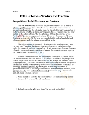 Cell Membrane Structure and Function Worksheet