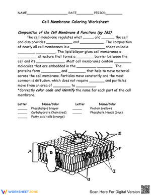 Cell Membrane: Structure and Function Guide