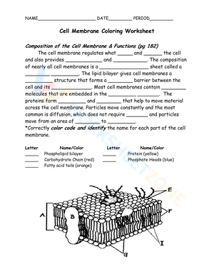 Cell Membrane: Structure and Function Guide