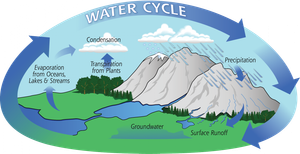Water Cycle Diagram Worksheet | Grade 10-12 Essential