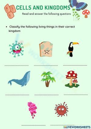 Cell and Kingdom: Biology Worksheet for Students