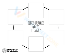 Fill the Plant Cycle Worksheet