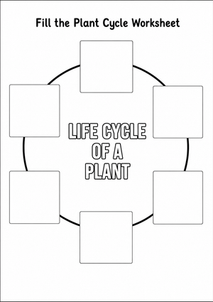 Grade 3 Plant Life Cycle — Printable No-Prep Worksheet