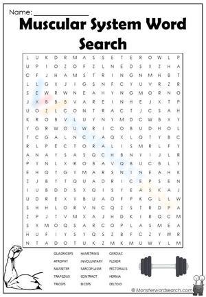 Muscle System Word Search Puzzle
