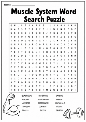 Essential Muscle System Word Search | Grade 7-9 Science