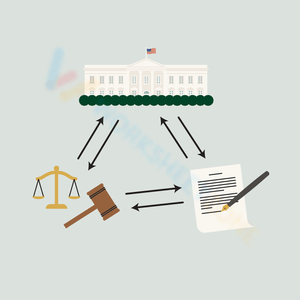 Checks and Balances Visual Aid
