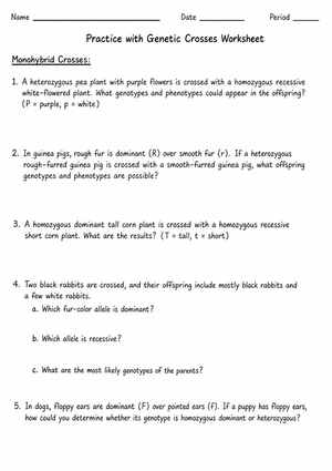 Genetic Crosses Practice Worksheet | Essential Biology