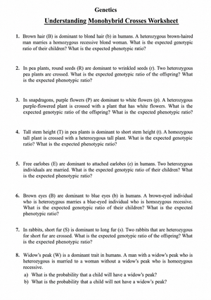 Printable Monohybrid Crosses Worksheet | Grade 9 Biology