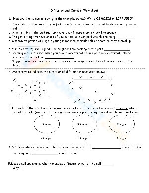 Diffusion and Osmosis Worksheet
