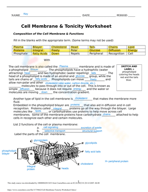 Explore Cell Membrane and Tonicity
