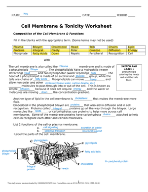 Explore Cell Membrane and Tonicity