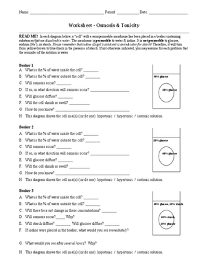 Worksheet: Osmosis and Tonicity in Cells