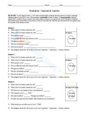 Worksheet: Osmosis and Tonicity in Cells