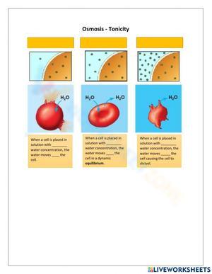 Exploring Osmosis and Tonicity Concepts