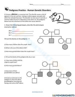 Pedigrees Practice - Human Genetic Disorders 