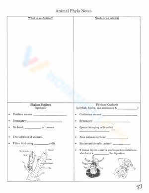 Animal Phyla Notes