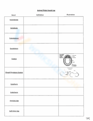 Animal Phyla Vocab Log