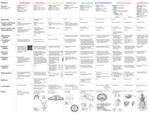 Animal Phylum Comparison Chart | Essential Biology Guide