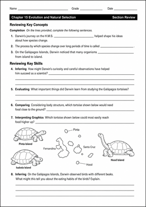 Essential Theory of Evolution Worksheet | Grade 7-9