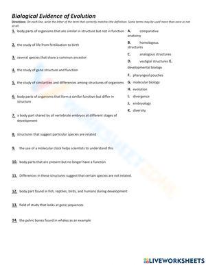Free Printable Evidence of Evolution Worksheets