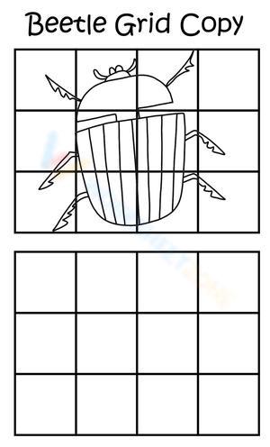 Beetle Drawing Worksheet | Bug Grid Copy
