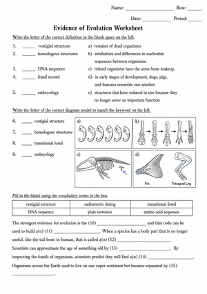 Essential Evidence of Evolution Worksheet | Grade 9-12