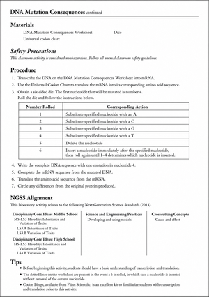 DNA Mutations Worksheet | Grade 9-12 Biology Essential