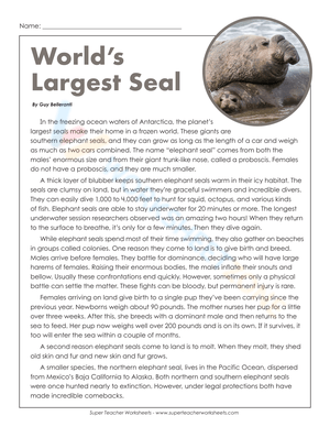 World's Largest Seal