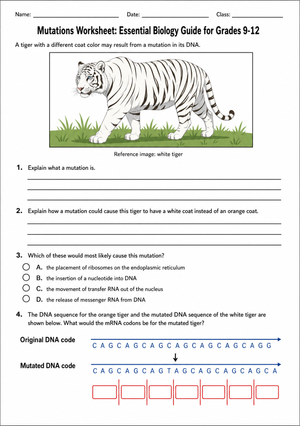 HS-LS3-2 Worksheet: Genetic Mutations — Grade 9-12 Aligned
