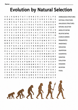 Essential Evolution by Natural Selection Worksheet | Grade 8