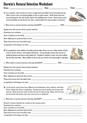 Darwin's Natural Selection Worksheet | Essential Biology