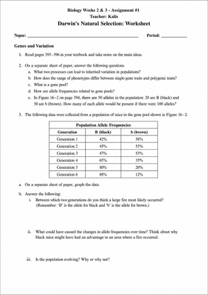 Natural Selection Worksheet | Essential Grade 9-12 Biology