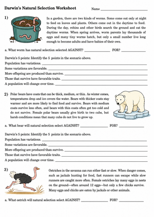 Darwin's Natural Selection Printable | Grade 8 Science