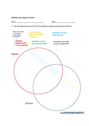 Diffusion and Osmosis Activity Worksheet