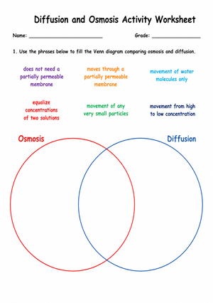 Essential Diffusion and Osmosis Worksheet | Grade 8-12