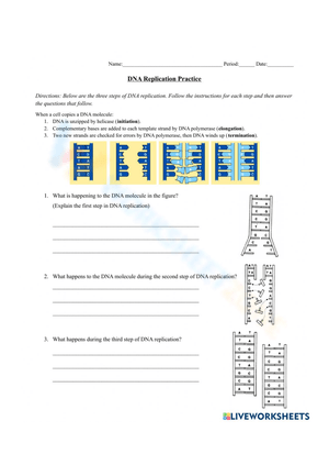 Free Printable Dna Structure Worksheet