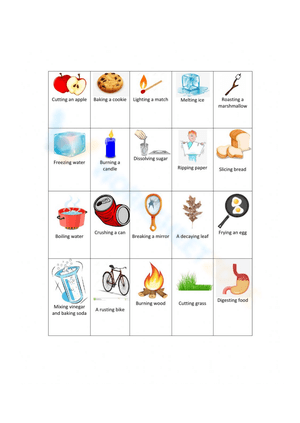 Physical and Chemical Change Worksheet