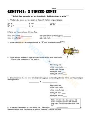 Explore Sex-Linked Traits with this Worksheet