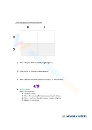 Sex-Linked Traits Genetics Worksheet