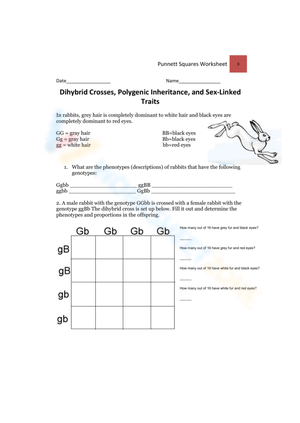 Advanced Sex-Linked Trait Worksheet