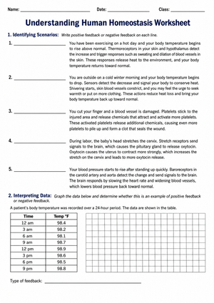 Essential Homeostasis Worksheet | Grade 9-12 Biology