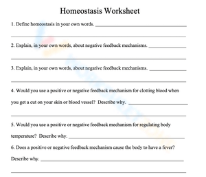The Diabetes And Homeostasis Worksheet You Need Right Now - ruqeinf