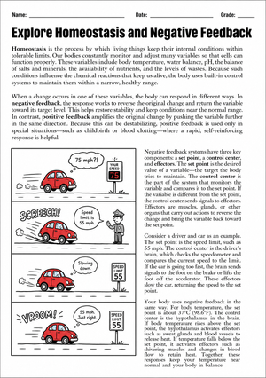 Printable Homeostasis Worksheet | Grade 9-12 Biology