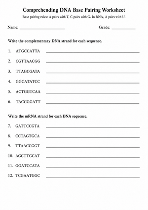 DNA Base Pairing Worksheet (3 Levels) | Grade 9-11 Ready