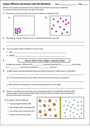 Diffusion and Osmosis Worksheet | Grade 7-9 Essential
