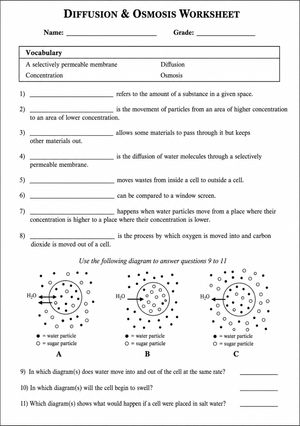 Grade 8 Diffusion & Osmosis — Printable No-Prep Worksheet