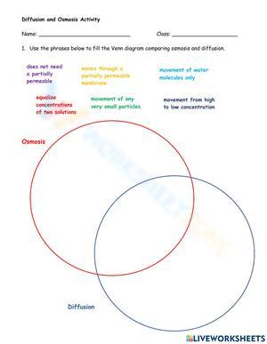 Diffusion and osmosis activity