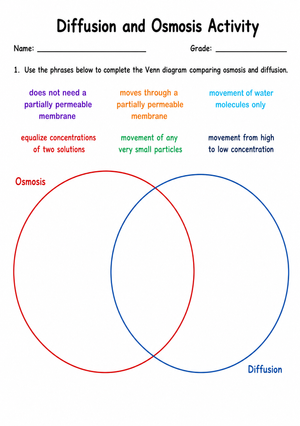 Diffusion and Osmosis Worksheet | Printable Grade 7 Science
