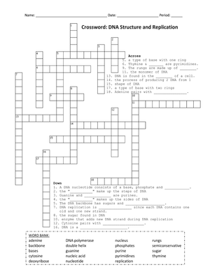 DNA Structure and Replication Crossword | Essential Biology