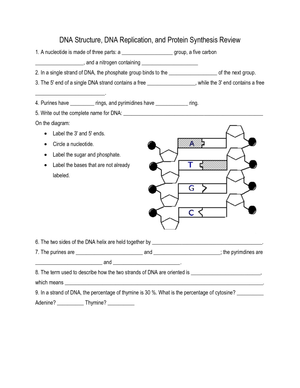 DNA Structure and Replication Review Worksheet
